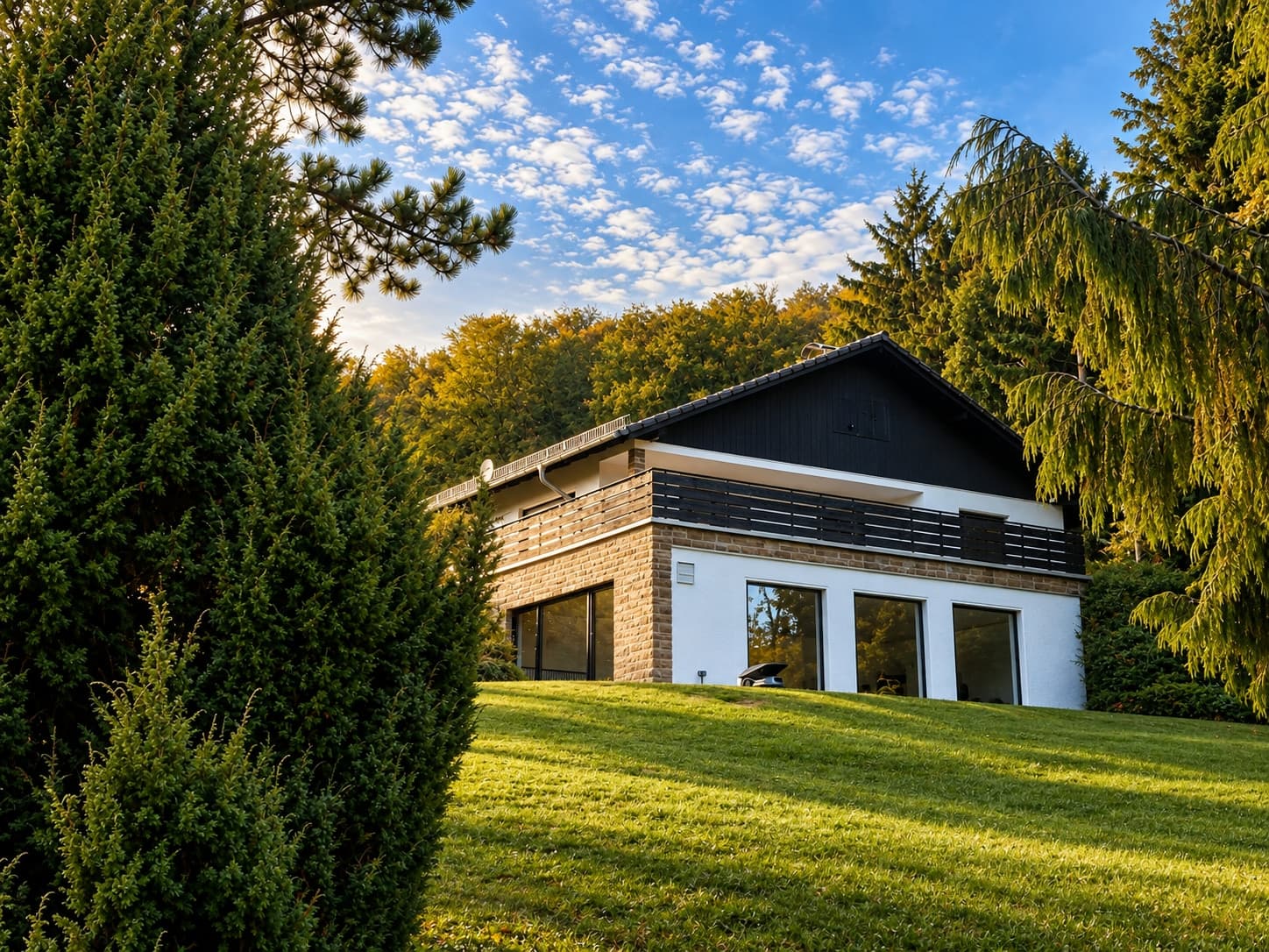 PETERSHOF3 zwischen Bäumen mit Rasenfläche und blauem Himmel im Abendlicht